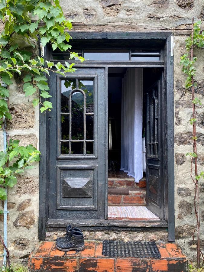 The Hunter House Villa Ciudanovita Exteriör bild