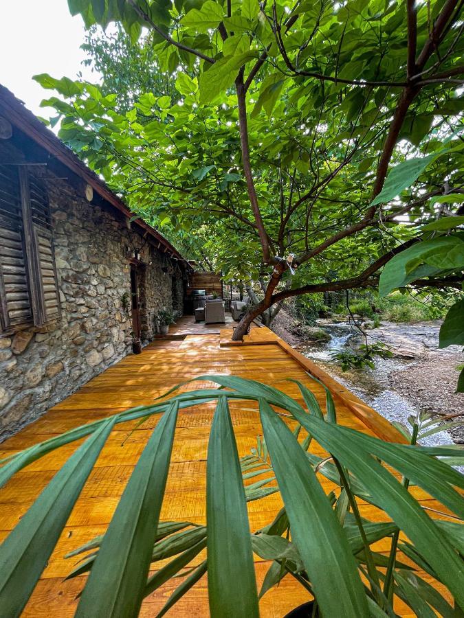 The Hunter House Villa Ciudanovita Exteriör bild